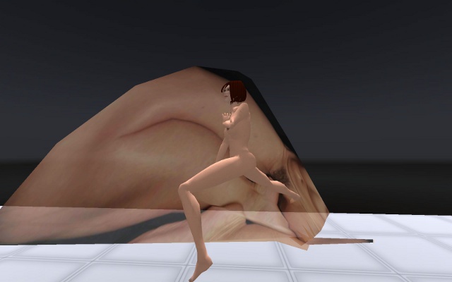 Frame de Me Myself and I: Vídeo-arte a partir de performance no Second Life e de imagem real, 2010.