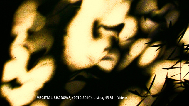 Vegetal Shadows (2010-2014), Lisboa, 45'31" (vídeo)