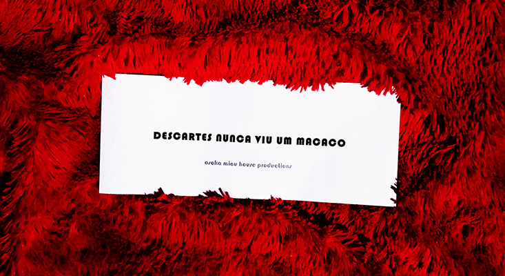 Ilda de Castro, «Ecoanotações» (still de Descartes Nunca Viu um Macaco)