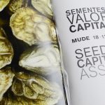 Sementes, Valor Capital (still da Entrevista a Bárbara Coutinho)