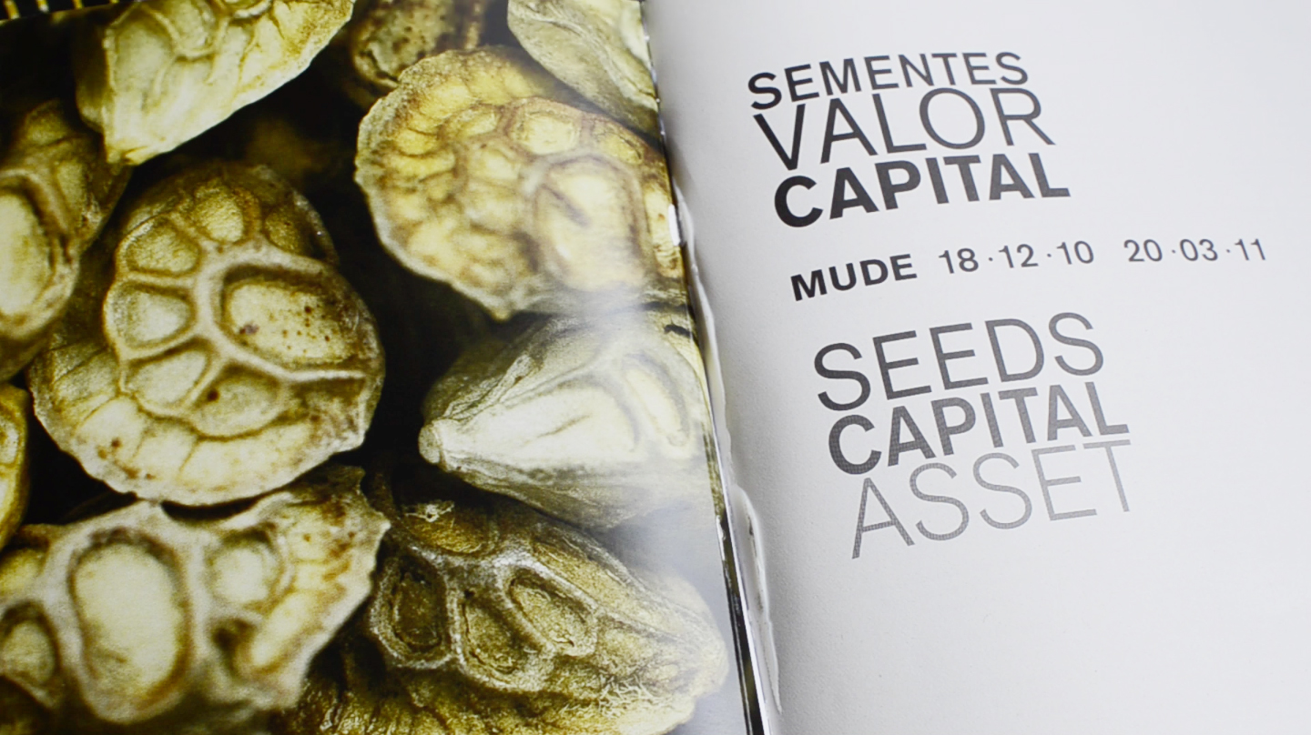 Sementes, Valor Capital (still da Entrevista a Bárbara Coutinho)